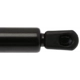 Purchase Top-Quality Lift Support by STRONG ARM - 4561 pa7