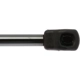 Purchase Top-Quality Lift Support by STRONG ARM - 4561 pa8