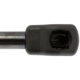 Purchase Top-Quality Lift Support by STRONG ARM - 4566 pa8