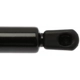 Purchase Top-Quality Lift Support by STRONG ARM - 4573 pa7
