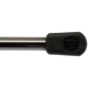 Purchase Top-Quality Lift Support by STRONG ARM - 4573 pa8