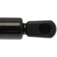 Purchase Top-Quality Lift Support by STRONG ARM - 4574 pa8