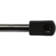 Purchase Top-Quality Lift Support by STRONG ARM - 4582 pa7