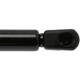 Purchase Top-Quality Lift Support by STRONG ARM - 4582 pa8