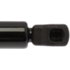 Purchase Top-Quality Lift Support by STRONG ARM - 4584 pa10