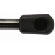 Purchase Top-Quality Lift Support by STRONG ARM - 4584 pa6