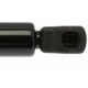 Purchase Top-Quality Lift Support by STRONG ARM - 4584 pa7