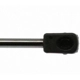 Purchase Top-Quality Lift Support by STRONG ARM - 4590 pa11
