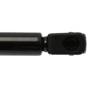 Purchase Top-Quality Lift Support by STRONG ARM - 4590 pa8