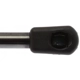 Purchase Top-Quality Lift Support by STRONG ARM - 4592 pa8