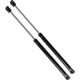 Purchase Top-Quality Lift Support by STRONG ARM - 4593 pa9