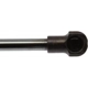 Purchase Top-Quality Lift Support by STRONG ARM - 4597 pa7