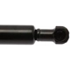 Purchase Top-Quality Lift Support by STRONG ARM - 4597 pa8