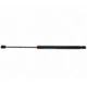 Purchase Top-Quality Lift Support by STRONG ARM - 4600 pa5