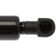 Purchase Top-Quality Lift Support by STRONG ARM - 4604 pa10