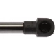 Purchase Top-Quality Lift Support by STRONG ARM - 4604 pa9