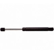 Purchase Top-Quality Lift Support by STRONG ARM - 4619 pa5