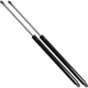 Purchase Top-Quality Lift Support by STRONG ARM - 4630 pa11