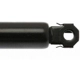 Purchase Top-Quality Lift Support by STRONG ARM - 4630 pa6
