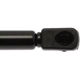 Purchase Top-Quality Lift Support by STRONG ARM - 4643 pa7
