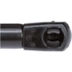 Purchase Top-Quality Lift Support by STRONG ARM - 4654 pa8
