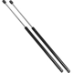 Purchase Top-Quality Lift Support by STRONG ARM - 4702 pa11