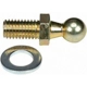 Purchase Top-Quality Lift Support by STRONG ARM - 4731 pa5