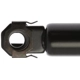 Purchase Top-Quality Lift Support by STRONG ARM - 4744 pa11