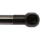 Purchase Top-Quality Lift Support by STRONG ARM - 4782 pa7