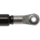 Purchase Top-Quality Lift Support by STRONG ARM - 4799 pa7