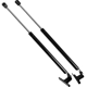 Purchase Top-Quality Lift Support by STRONG ARM - 4815 pa12