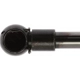 Purchase Top-Quality Lift Support by STRONG ARM - 4816 pa7