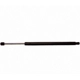 Purchase Top-Quality Lift Support by STRONG ARM - 4838 pa1