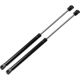 Purchase Top-Quality Lift Support by STRONG ARM - 4853 pa6
