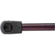 Purchase Top-Quality Lift Support by STRONG ARM - 4867L pa7