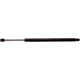 Purchase Top-Quality Lift Support by STRONG ARM - 4902 pa1