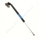Purchase Top-Quality Lift Support by STRONG ARM - 4913 pa11