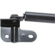 Purchase Top-Quality Lift Support by STRONG ARM - 4913 pa8