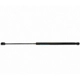 Purchase Top-Quality STRONG ARM - 6007 - Lift Support pa10