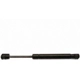 Purchase Top-Quality Lift Support by STRONG ARM - 6030 pa5