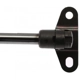 Purchase Top-Quality Lift Support by STRONG ARM - 6102 pa7