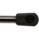 Purchase Top-Quality Lift Support by STRONG ARM - 6103 pa8