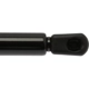 Purchase Top-Quality Lift Support by STRONG ARM - 6105 pa7