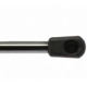 Purchase Top-Quality Lift Support by STRONG ARM - 6110 pa2