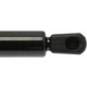 Purchase Top-Quality Lift Support by STRONG ARM - 6110 pa3