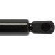 Purchase Top-Quality Lift Support by STRONG ARM - 6110 pa8