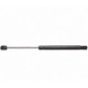 Purchase Top-Quality Lift Support by STRONG ARM - 6115 pa5