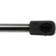 Purchase Top-Quality Lift Support by STRONG ARM - 6117 pa10