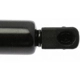 Purchase Top-Quality Lift Support by STRONG ARM - 6117 pa6