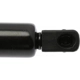 Purchase Top-Quality Lift Support by STRONG ARM - 6117 pa9